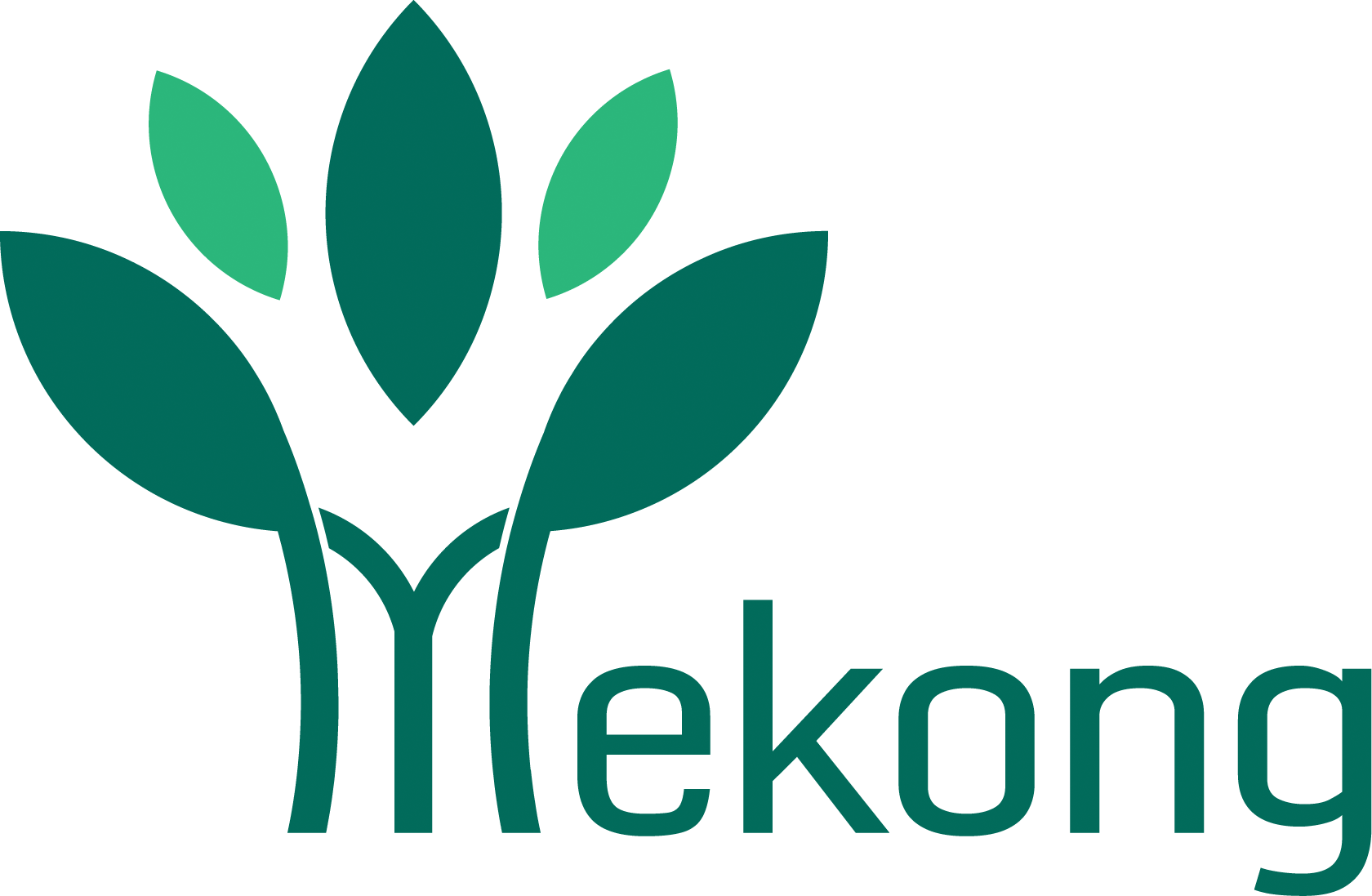  - Công Ty Cổ Phần Gỗ MDF Mekong
