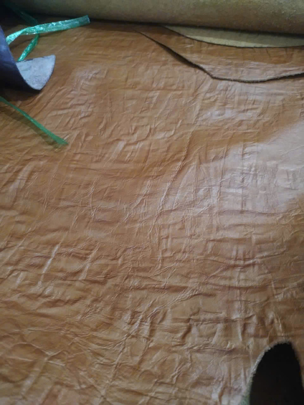 Da vân sần nhúm lớn