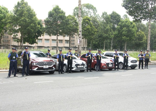 Đào tạo và cung cấp nhân sự