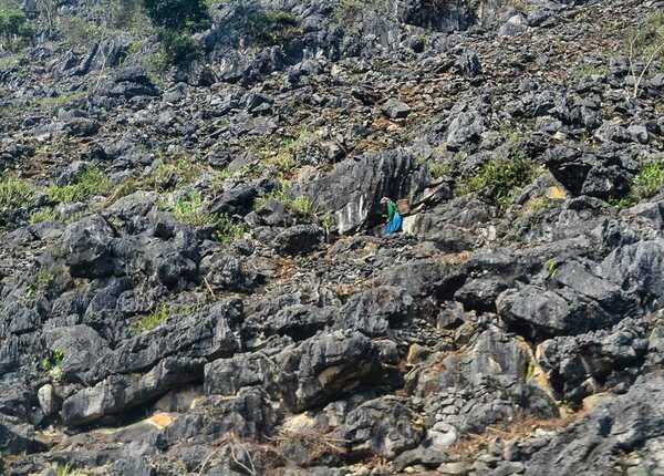 Cao nguyên đá Đồng Văn - Loop Tours - Công Ty TNHH Thương Mại Và Đầu Tư An Nhiên Group