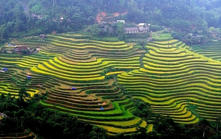 Ruộng bậc thang Hoàng Su Phì - Loop Tours - Công Ty TNHH Thương Mại Và Đầu Tư An Nhiên Group