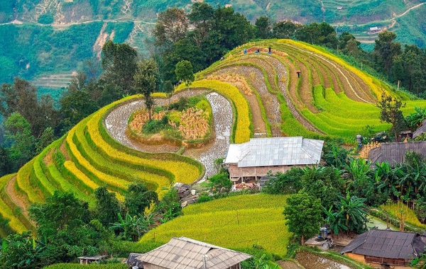 Ruộng bậc thang Hoàng Su Phì - Loop Tours - Công Ty TNHH Thương Mại Và Đầu Tư An Nhiên Group