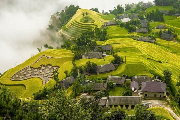Ruộng bậc thang Hoàng Su Phì - Loop Tours - Công Ty TNHH Thương Mại Và Đầu Tư An Nhiên Group