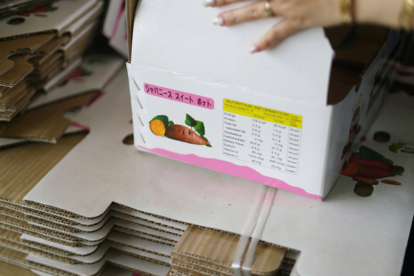 Khoai lang Chiba Foods