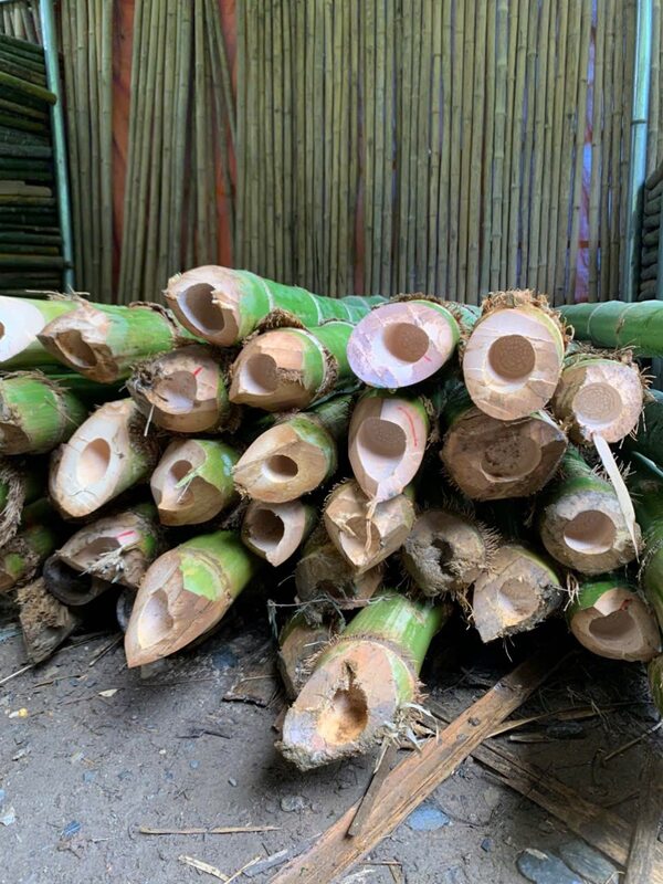 Cọc tre các loại