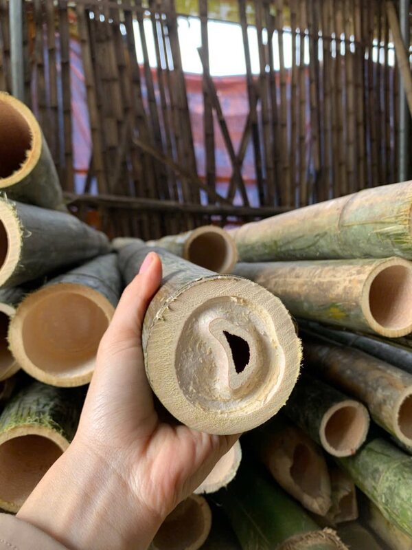 Cọc tre các loại