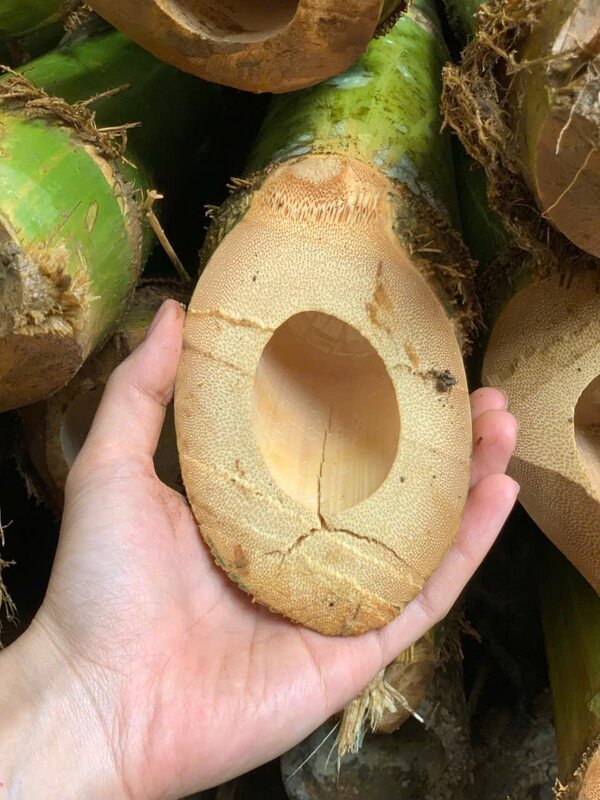 Cọc tre các loại
