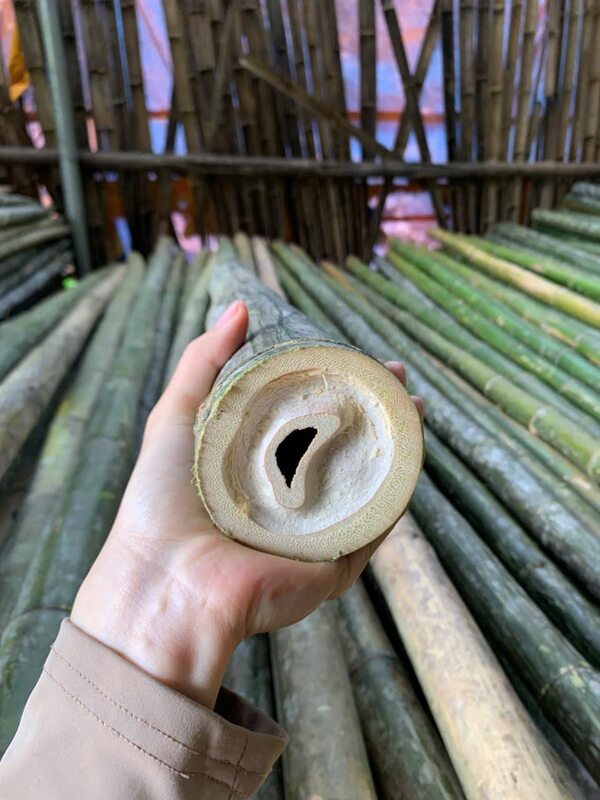 Cọc tre các loại
