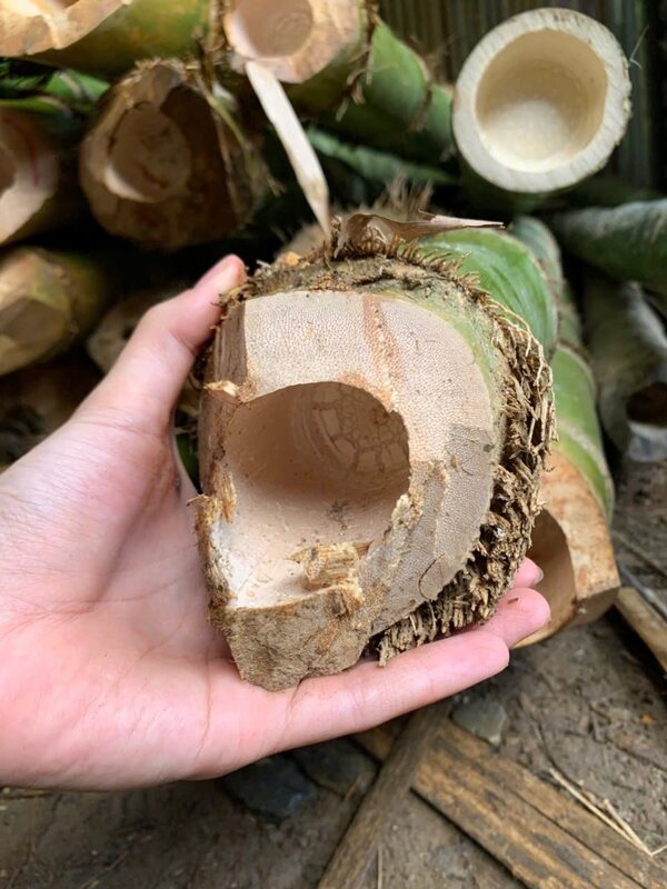Cọc tre các loại