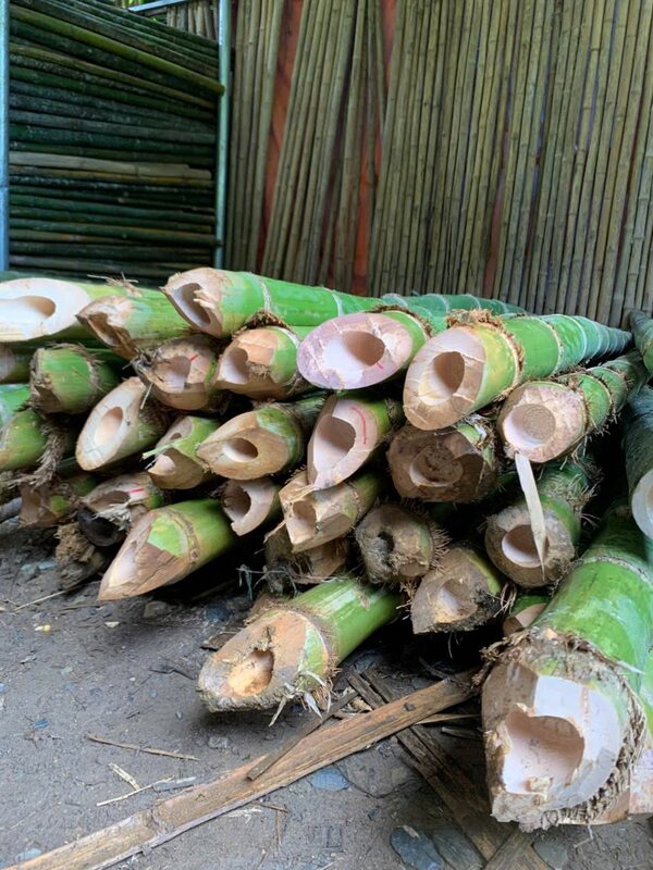 Cọc tre các loại