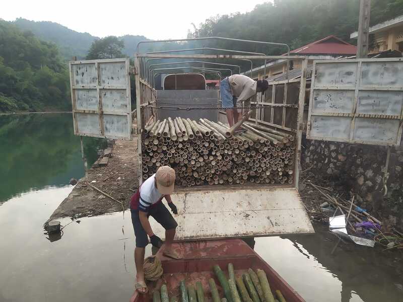 Hình ảnh vận chuyển cọc tre Lê Quân