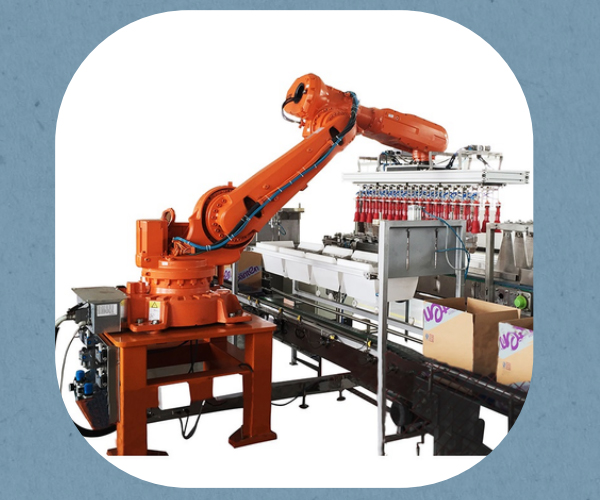 Robot 6 trục có khả năng tùy biến đa năng - Tự Động Hóa AI MAC - Công Ty CP AI MAC