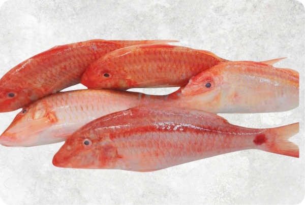 Cá đối đỏ - Công Ty TNHH Food Link VN