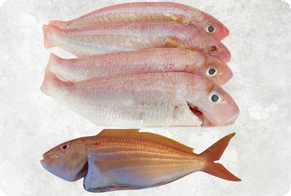 Cá tráp vây chỉ - Công Ty TNHH Food Link VN