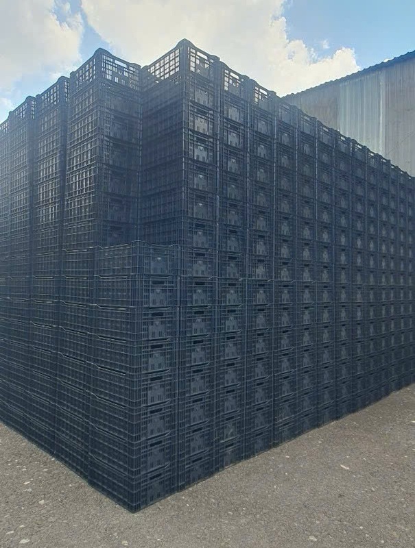 Sóng nhựa - Nhựa Công Nghiệp Thiên Ân Plastic - Công Ty TNHH Sản Xuất Công Nghiệp Thiên Ân Plastic