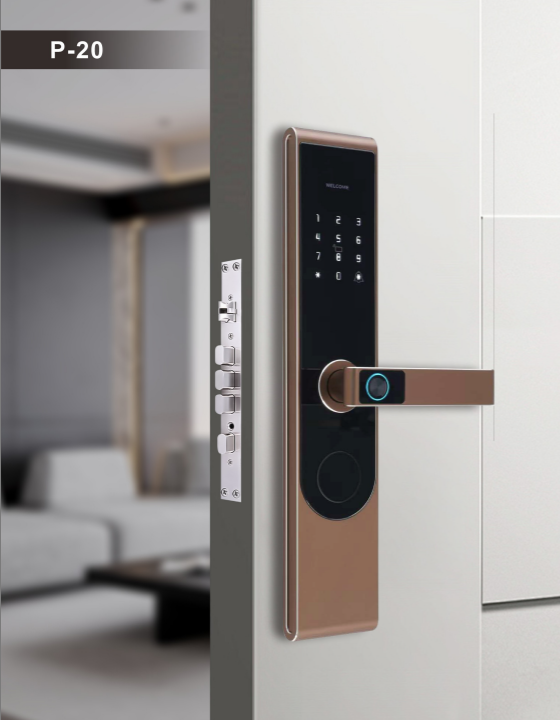 Khóa vân tay P20 - Khóa Điện Tử Duy Minh - Công Ty TNHH Dịch Vụ Đầu Tư Quốc Tế Duy Minh