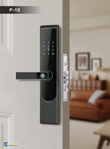 Khóa vân tay P10 - Khóa Điện Tử Duy Minh - Công Ty TNHH Dịch Vụ Đầu Tư Quốc Tế Duy Minh
