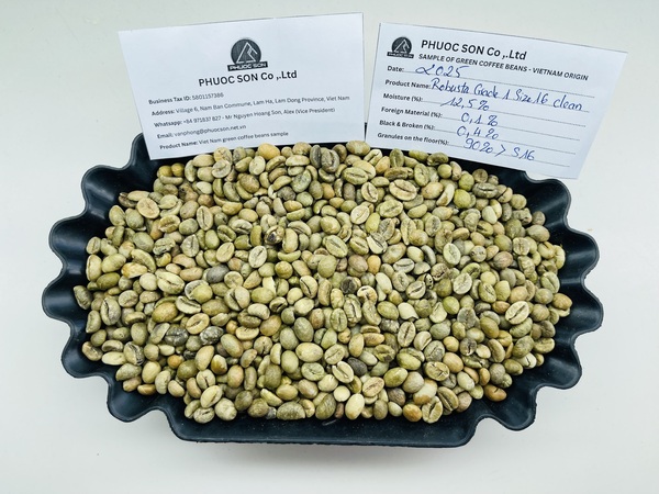 Cà phê Robusta Grade 1 R16 với tỷ lệ lỗi 0.1% black & 0.3% broken - Cà Phê Phước Sơn - Công Ty TNHH KDNS Phước Sơn