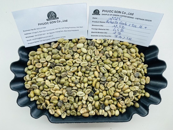 Robusta Grade 1 R18 với tỷ lệ lỗi 2% black & broken - Cà Phê Phước Sơn - Công Ty TNHH KDNS Phước Sơn