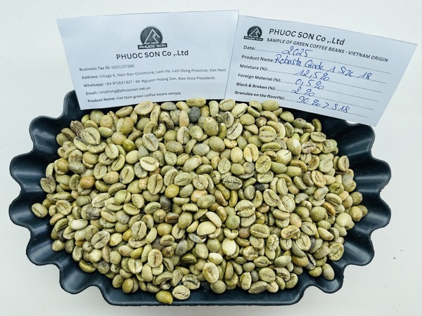 Robusta Grade 1 R18 với tỷ lệ lỗi 2% black & broken - Cà Phê Phước Sơn - Công Ty TNHH KDNS Phước Sơn