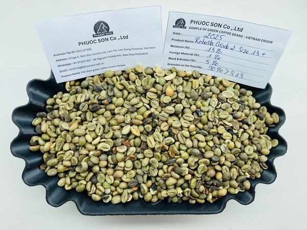 Robusta Grade 2 R13+ với tỷ lệ lỗi 5% black & broken - Cà Phê Phước Sơn - Công Ty TNHH KDNS Phước Sơn