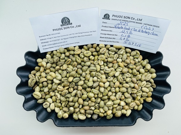 Cà phê Robusta Culi - Cà Phê Phước Sơn - Công Ty TNHH KDNS Phước Sơn