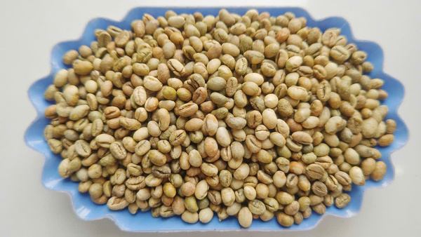 Cà phê Robusta Honey - Cà Phê Phước Sơn - Công Ty TNHH KDNS Phước Sơn