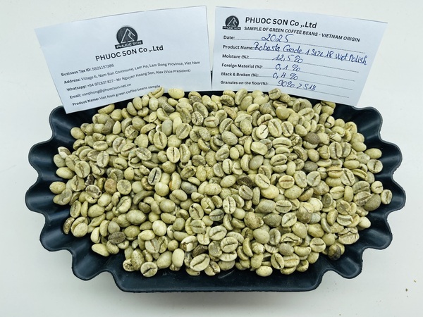 Cà phê Robusta Wet Polished - Cà Phê Phước Sơn - Công Ty TNHH KDNS Phước Sơn