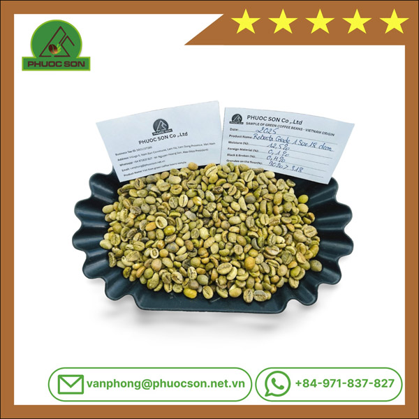 Robusta Grade 1 R18 clean với tỷ lệ lỗi 0.1% black & 0.3% broken - Cà Phê Phước Sơn - Công Ty TNHH KDNS Phước Sơn