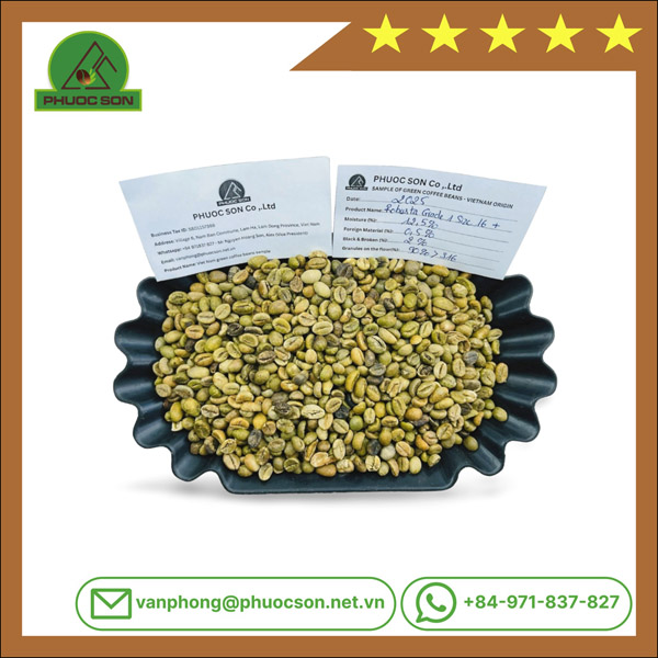 Robusta Grade 1 R16+ với tỷ lệ lỗi 2% black & broken - Cà Phê Phước Sơn - Công Ty TNHH KDNS Phước Sơn