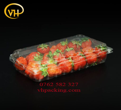 Hộp nhựa P1000AX (1000g) đựng rau củ quả - Sản Phẩm Nhựa Dùng 1 Lần VH Pack - Công Ty TNHH VH Pack