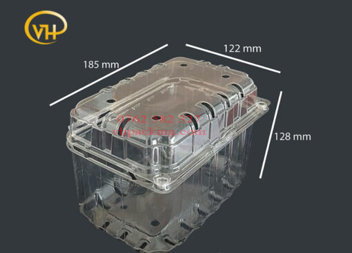 Hộp nhựa P1000B - Sản Phẩm Nhựa Dùng 1 Lần VH Pack - Công Ty TNHH VH Pack