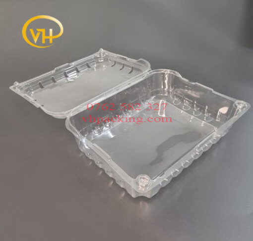 Hộp nhựa P500CX đựng trái cây, rau củ quả - Sản Phẩm Nhựa Dùng 1 Lần VH Pack - Công Ty TNHH VH Pack