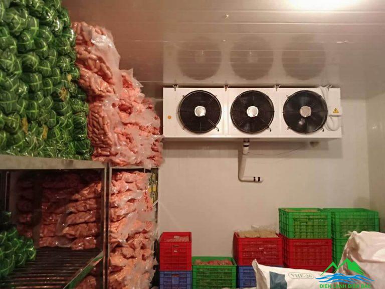 Kho lạnh bảo quả thực phẩm - Kho Lạnh Công Nghiệp Đông Anh - Công Ty Cổ Phần Cơ Điện Lạnh Đông Anh