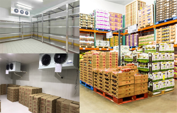 Kho lạnh bảo quả thực phẩm - Kho Lạnh Công Nghiệp Đông Anh - Công Ty Cổ Phần Cơ Điện Lạnh Đông Anh
