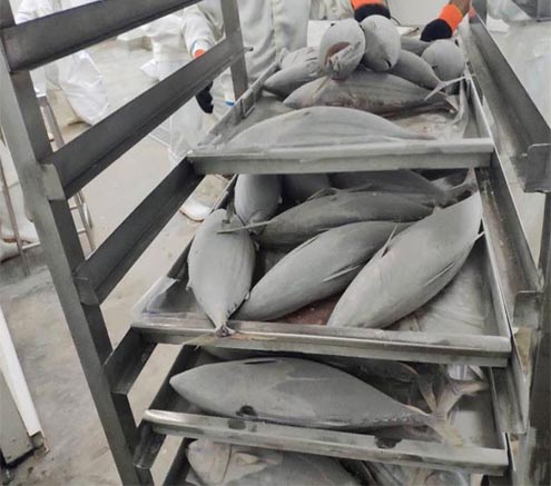 Kho lạnh bảo quản thủy hải sản - Kho Lạnh Công Nghiệp Đông Anh - Công Ty Cổ Phần Cơ Điện Lạnh Đông Anh