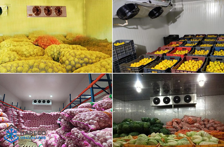 Thi công lắp đặt kho lạnh bảo quản nông sản - Kho Lạnh Công Nghiệp Đông Anh - Công Ty Cổ Phần Cơ Điện Lạnh Đông Anh