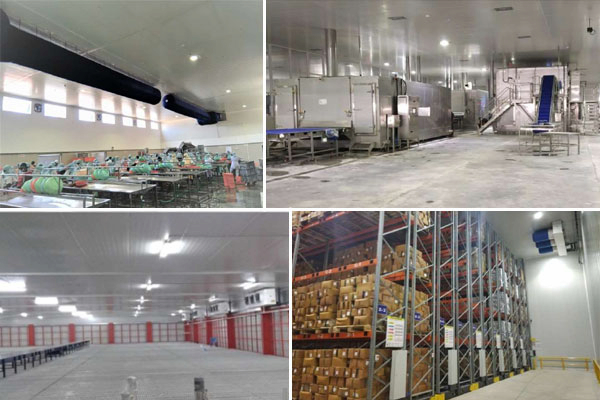 Thi công lắp đặt kho lạnh tại Hà Nội - Kho Lạnh Công Nghiệp Đông Anh - Công Ty Cổ Phần Cơ Điện Lạnh Đông Anh