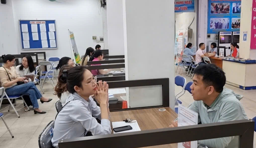 Tư vấn việc làm