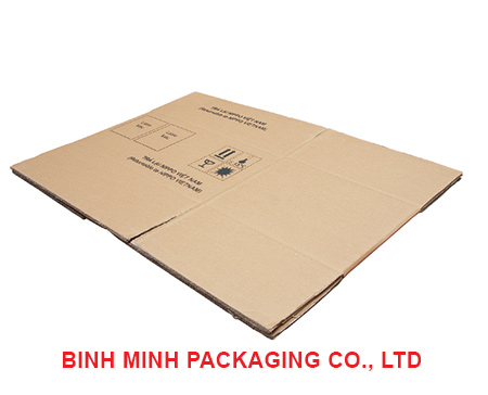 Bao bì Carton