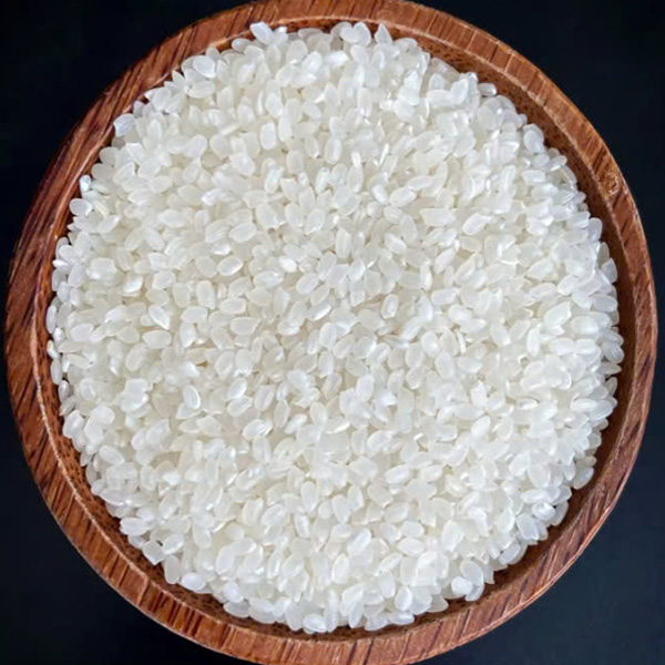 Gạo Japonica
