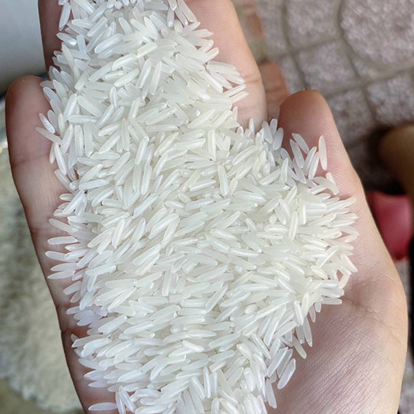 Gạo Jasmine