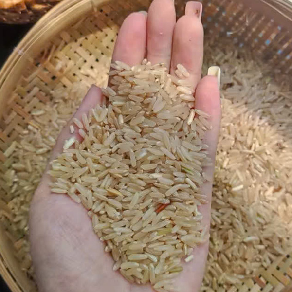 Gạo lứt