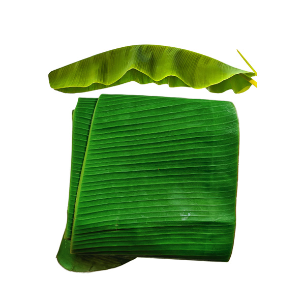 Lá chuối