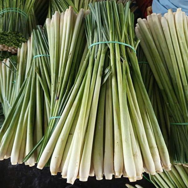 Sả