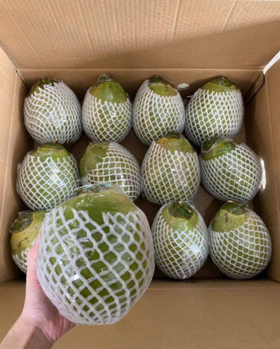 Dừa xiêm - Nông Sản Phước Thành Tài - Công Ty TNHH Xuất Nhập Khẩu Quốc Tế Phước Thành Tài