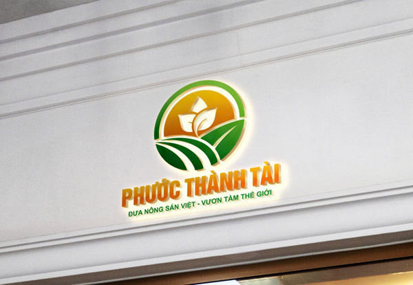 Hình ảnh hoạt động công ty Phước Thành Tài - Nông Sản Phước Thành Tài - Công Ty TNHH Xuất Nhập Khẩu Quốc Tế Phước Thành Tài