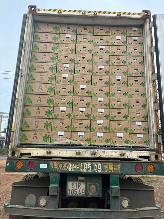Hình ảnh hoạt động công ty Phước Thành Tài - Nông Sản Phước Thành Tài - Công Ty TNHH Xuất Nhập Khẩu Quốc Tế Phước Thành Tài