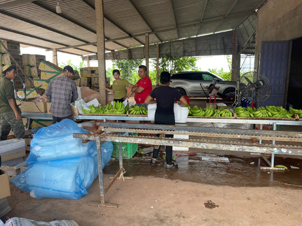 Hình ảnh hoạt động công ty Phước Thành Tài - Nông Sản Phước Thành Tài - Công Ty TNHH Xuất Nhập Khẩu Quốc Tế Phước Thành Tài