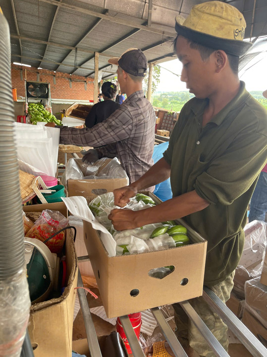 Hình ảnh hoạt động công ty Phước Thành Tài - Nông Sản Phước Thành Tài - Công Ty TNHH Xuất Nhập Khẩu Quốc Tế Phước Thành Tài